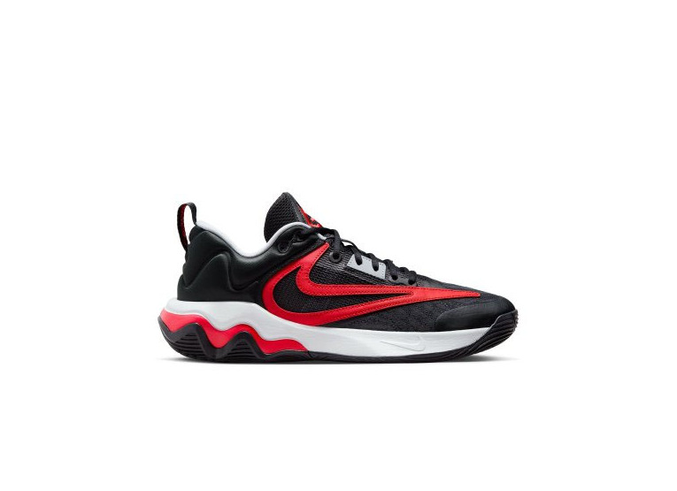 Nike Giannis Immortality 3 basketbalschoen zwart/grijs/rood