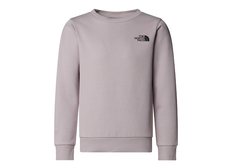 The North Face simple dome sweatshirt moonstone grey KIDS